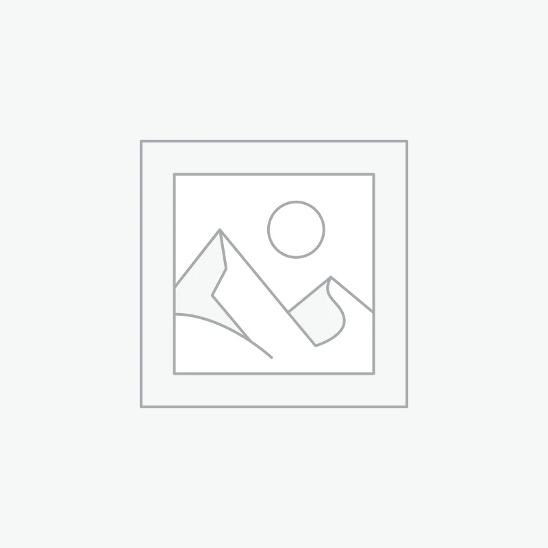 iPhone 16 Pro Max SELLADO